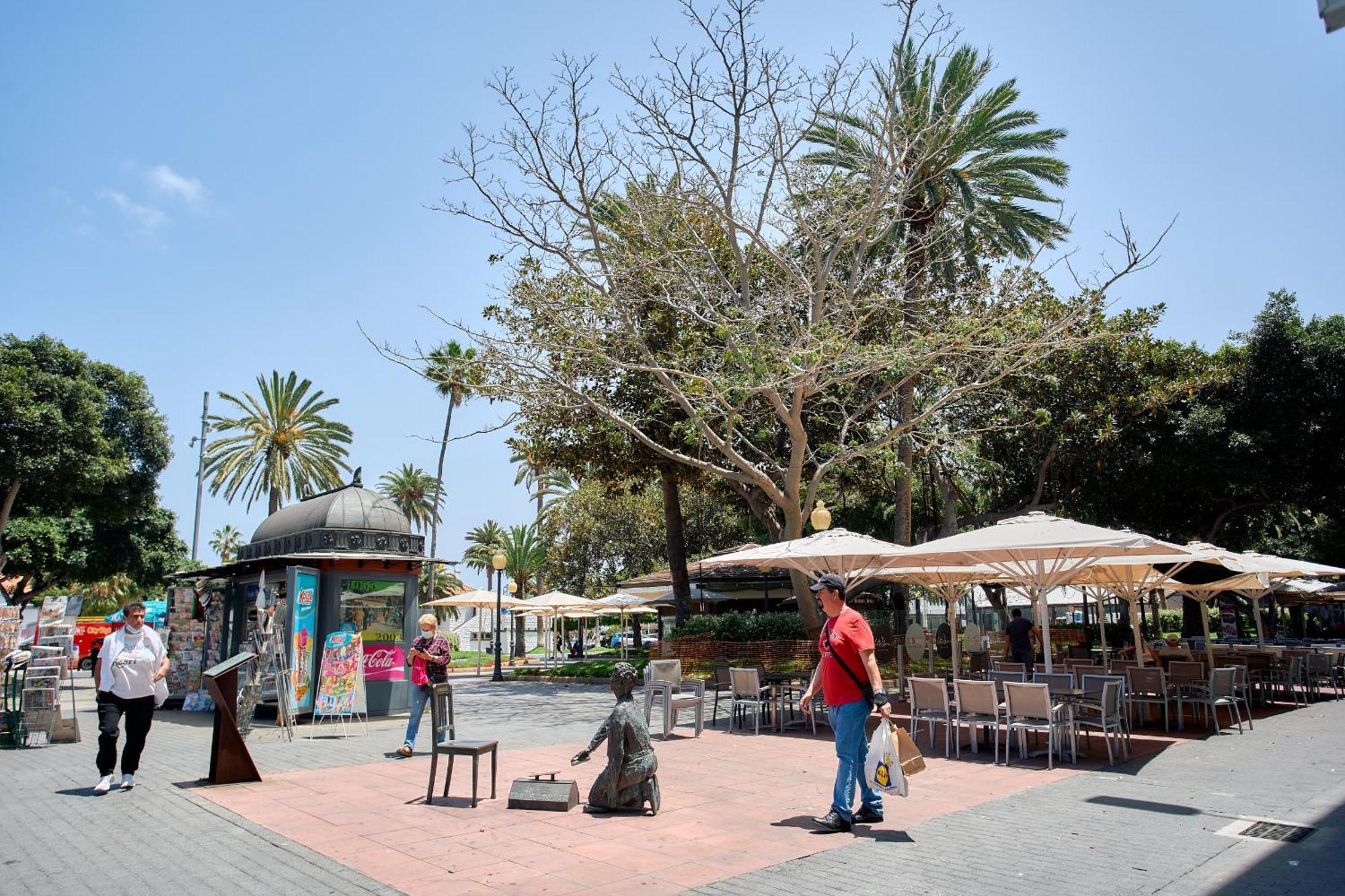 Urban Flat In Santa Catalina - 4 Min Walk To Beach ลาสปัลมาส เด กรานคานาเรีย ภายนอก รูปภาพ